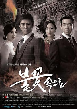 网站服务器和seo有什么区别